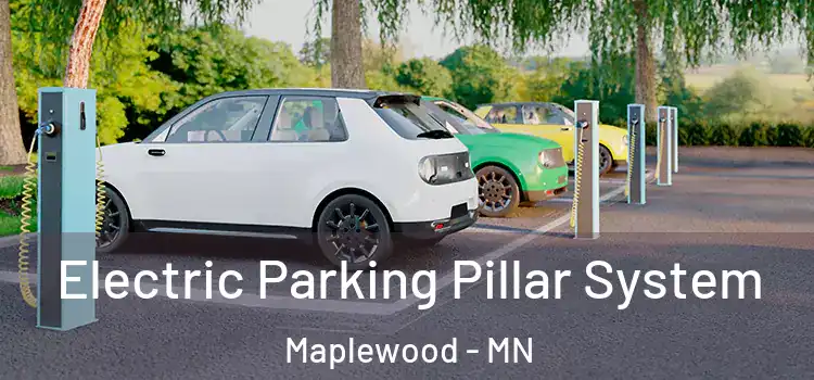 Electric Parking Pillar System Maplewood - MN