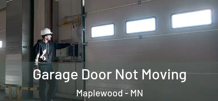  Garage Door Not Moving Maplewood - MN