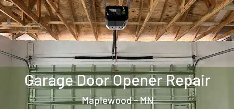  Garage Door Opener Repair Maplewood - MN