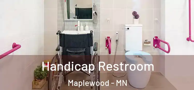 Handicap Restroom Maplewood - MN