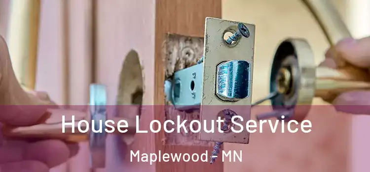  House Lockout Service Maplewood - MN