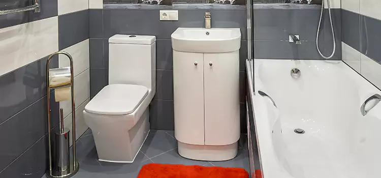 Hansgrohe Shaving Mirror Maplewood