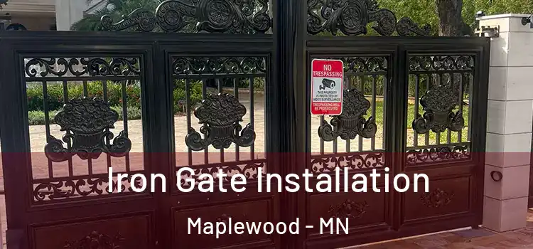 Iron Gate Installation Maplewood - MN
