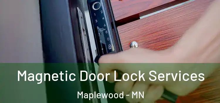 Magnetic Door Lock Services Maplewood - MN