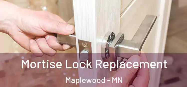Mortise Lock Replacement Maplewood - MN