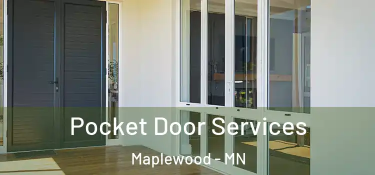 Pocket Door Services Maplewood - MN